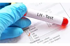 Lh Hormonu Değerleri ve Yüksek Çıkması